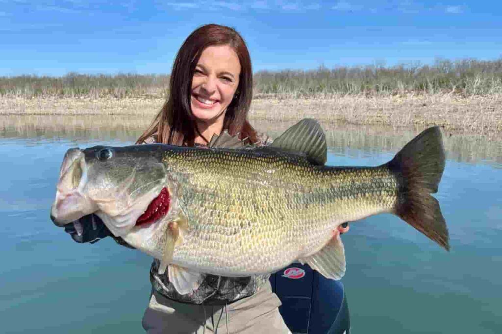 Largemouth Bass